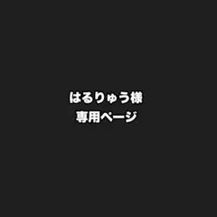 はるりゅう様専用 — image 1