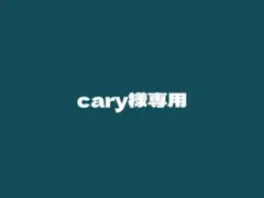 cary様専用 — image 1