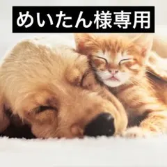 めいたん様専用 — image 1