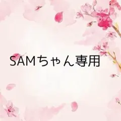 SAMちゃん専用、アメステなど — image 1