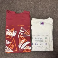 乃木坂46 真夏の全国ツアー　Tシャツ　2022 2枚　Lサイズセット — image 1