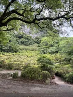 専用 — image 1