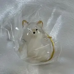 うちの子のけだま　柴犬 — image 1