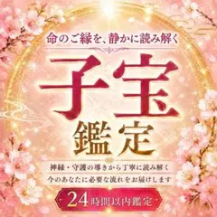 【本日即鑑定】子宝・妊活・妊娠・不妊・霊視・願望成就・占い・霊視 — image 1
