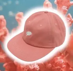 CUP AND CONE Coral 6 Panel Cap — image 1