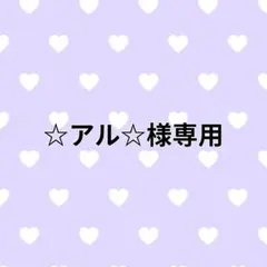 ☆アル☆様専用 — image 1