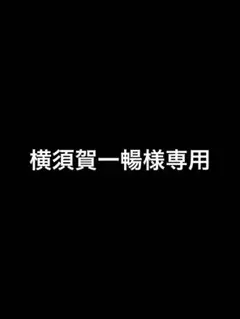 横須賀一暢様専用 — image 1