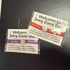 Welcome to Sexy Zone ウェルセク ヘアゴム 赤 紫 — image 1