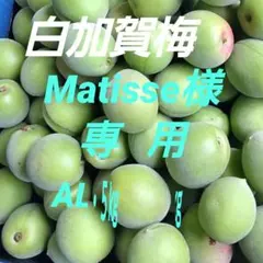 白加賀梅、AL・ 5kg、 Matisse様専用 — image 1