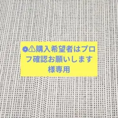 ❁⚠︎購入希望者はプロフ確認お願いします様専用 — image 1