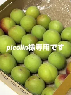 Picolin様専用品 — image 1