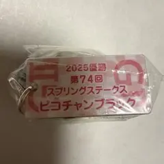 ピコチャンブラック アイドルホースミニコレクションvol.42 石橋脩 — image 1
