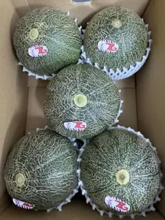 産地直送！青肉アムスメロン❗️甘くて美味しい❗️5玉箱込6キロ前後 — image 1