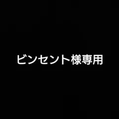 ビンセント様専用 — image 1