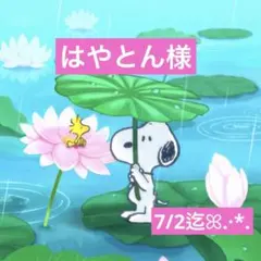 はやとん様 専用ページ — image 1