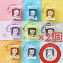 ちいかわチョコボックス あの子　2個セット — image 1