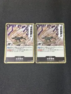 ワンピースカード 浸食輪廻 OP14-096 R 2枚セット — image 1