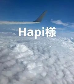 Hapi様 — image 1