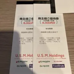 ユナイテッドスーパーマーケット　株主優待券 10000円分　カスミ — image 1