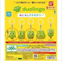 【未開封】duolingo めじるしアクセサリー　まとめ売り — image 1