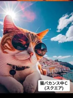 ダイヤモンドアート 30✕40 スクエア(四角型)　猫バカンス中Ｃ — image 1