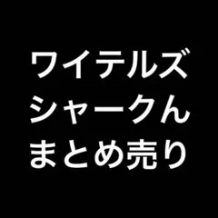 ワイテルズ シャークん まとめ売り — image 1