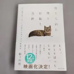 捨てられた僕と母猫と奇跡 : 心に傷を負った二人が新たに見つけた居場所 — image 1