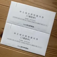 カワチ薬品 株主優待 10000円分 — image 1