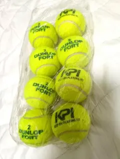 DUNLOP FORT 硬式テニスボール 8球セット — image 1