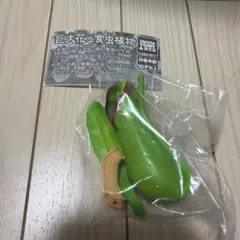 巨大花と食虫植物　ウツボカズラA ガチャガチャ — image 1