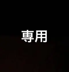 at様専用 — image 1