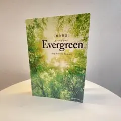 総合英語 Evergreen エバーグリーン 英文法 参考書 — image 1