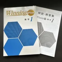 ホワイトベアー様 リクエスト 2点 まとめ商品 — image 1