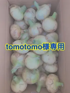 tomotomo様専用 — image 1
