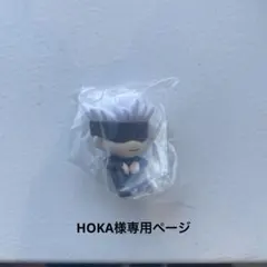 HOKA様専用ページ — image 1