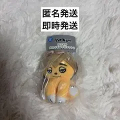 ハイキュー アニマルぬいぐるみマスコット ツムキツネ ガチャガチャ 宮侑 — image 1