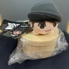 BTS TinyTAN Jung Kook 寝そべり ぬいぐるみ マスコット — image 1
