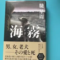 海霧 ―ジリ― — image 1
