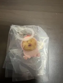 こびとづかん　めじるしアクセサリー　こびとずかんめじるしフレンズ — image 1