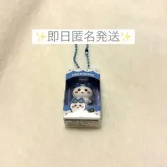 【即日発送】ハチワレチョコボックス — image 1