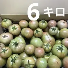 北海道産　訳あり品　桃太郎トマト　6キロ② — image 1