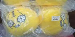 一番くじジョジョの奇妙な冒険 G賞 もちもちもっちぬいぐるみ — image 1