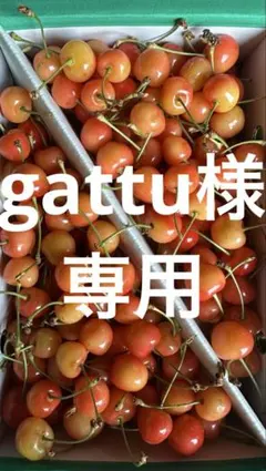 gattu様　専用　超訳あり　さくらんぼ　1kg — image 1