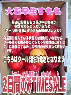 スモモ 大石早生 約2kg 低農薬 ご家庭用 タイムセール — image 1