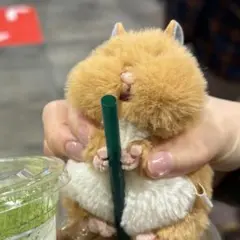 yyy様専用 — image 1
