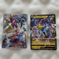 セグレイブ　ライコウ　2枚セット — image 1