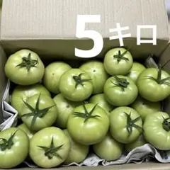 本日ラスト‼︎ 北海道産　訳あり品　桃太郎トマト　5キロ② — image 1