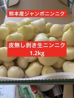 ジャンボニンニク　ニンニク　香味野菜　野菜　農薬不使用　農家直送 — image 1