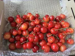 特別価格！さくらんぼ 紅秀峰 箱込み600g以上 訳あり — image 1