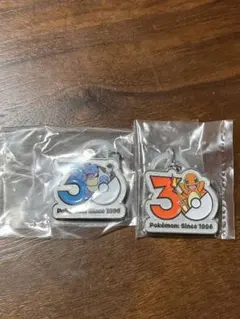 ポケモン 30周年記念 アクリルキーホルダー カメックス ヒトカゲ — image 1